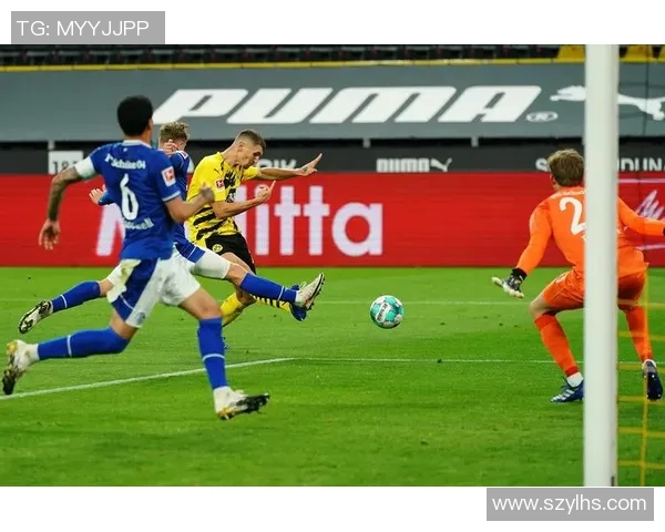 菜红牛与沙尔克的激烈对决揭示德甲新格局的潜力与挑战